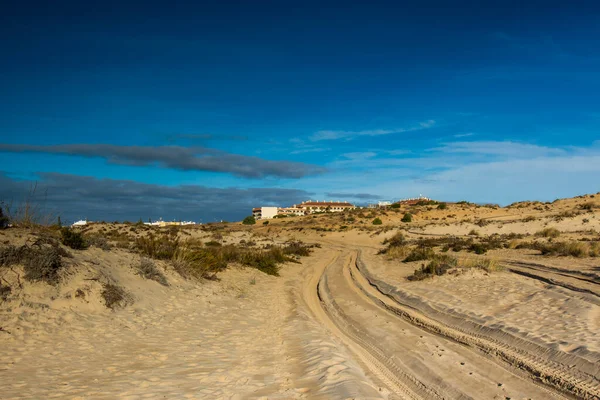 Národní Park Donana Blízkosti Mazagon Huelva Andalusie Španělsko — Stock fotografie