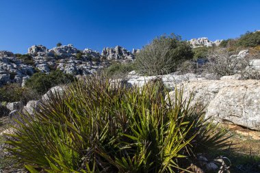 Torcal de Antequera Tabiat Parkı karstik manzara Avrupa'nın en etkileyici örneklerinden birini içerir. Bu doğal park Antequera yer alır. İspanya.