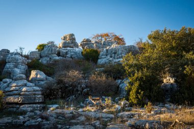 Torcal de Antequera Tabiat Parkı karstik manzara Avrupa'nın en etkileyici örneklerinden birini içerir. Bu doğal park Antequera yer alır. İspanya.