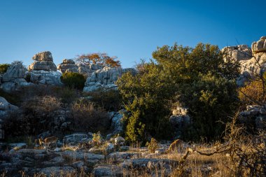 Torcal de Antequera Tabiat Parkı karstik manzara Avrupa'nın en etkileyici örneklerinden birini içerir. Bu doğal park Antequera yer alır. İspanya.