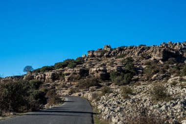 İspanya 'nın El Torcal de Antequera dağlarında İber dağ keçisi, Capra pyrenaica