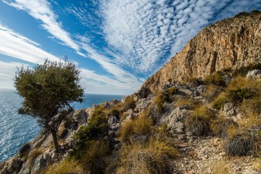 Endülüs 'teki İspanyol kıyı manzarası. Maro Cerro Gordo Doğal Parkı 'nın kayalıkları, Maro ve Nerja yakınlarında, Malaga, Costa Del Sol, İspanya.