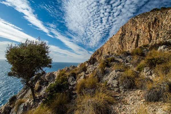 Krajobraz Wybrzeża Hiszpanii Andaluzji Klify Parku Naturalnego Maro Cerro Gordo — Zdjęcie stockowe