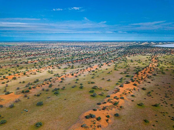 Bela Paisagem Deserto Kalahari Namíbia — Fotografia de Stock
