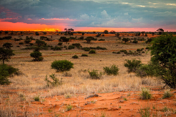 Beautiful landscape with vivid colours in Kalahari desert.