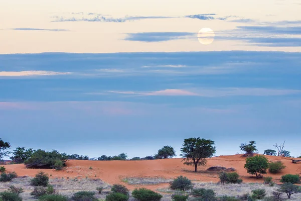 卡拉哈里沙漠美丽的风景 色彩艳丽 — 图库照片