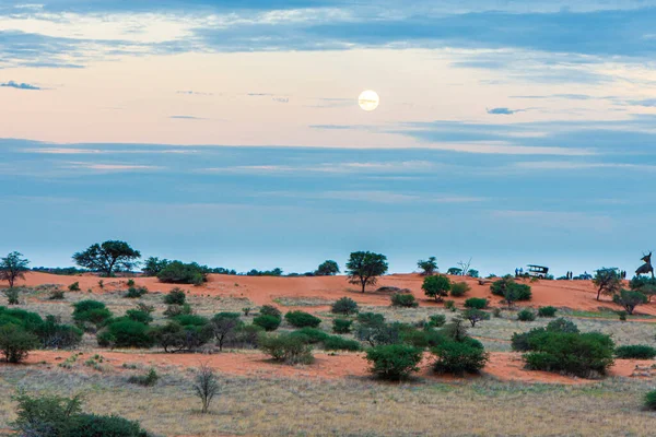 Schöne Landschaft Mit Leuchtenden Farben Der Kalahari Wüste — Stockfoto