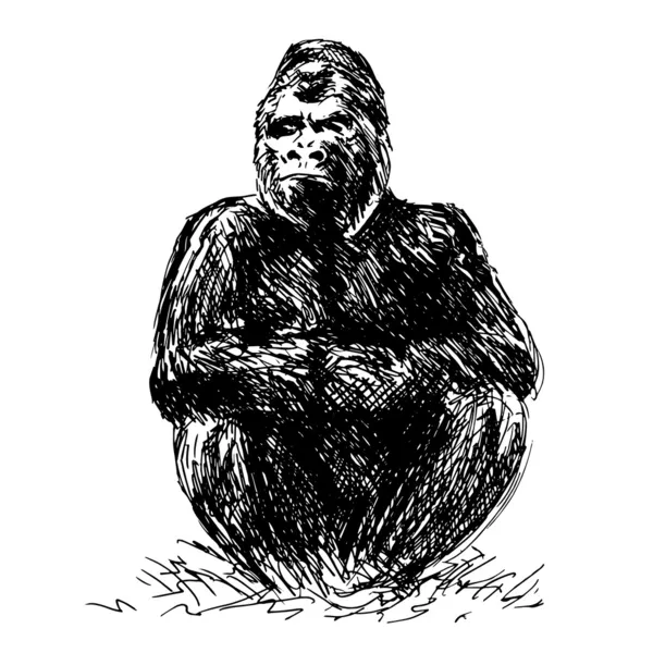 Drawing gorilla sitting — Stock Vector