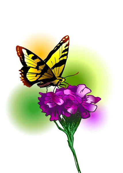 Papillon et fleur — Image vectorielle