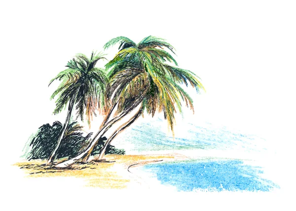 Playa de dibujo con palmeras — Vector de stock