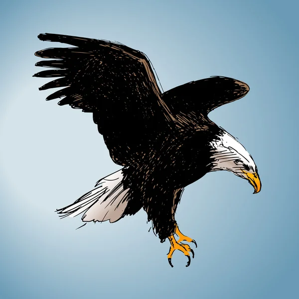 Dessin couleur d'un aigle — Image vectorielle