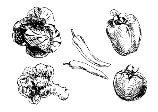 Ручные овощи — стоковый вектор