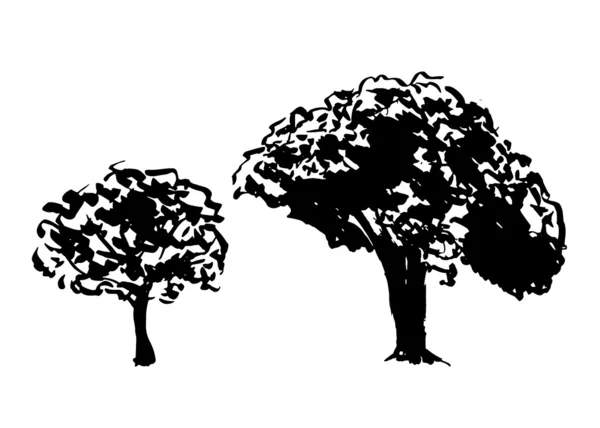 Kaksi puuta — vektorikuva