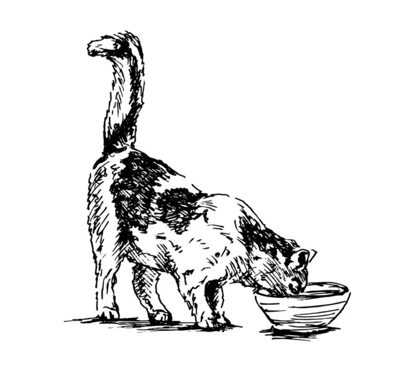 Ручной Набросок Кота Векторная Иллюстрация — стоковый вектор