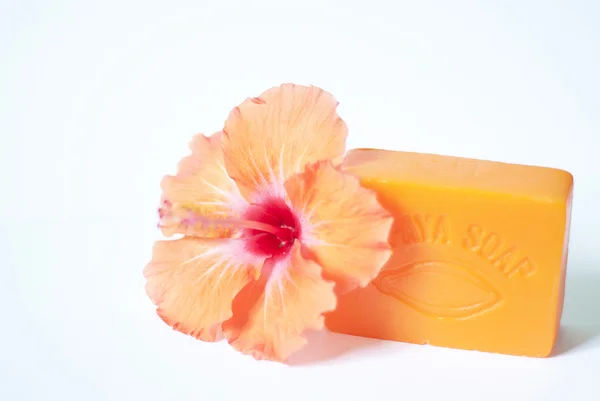 tropikal turuncu çiçek