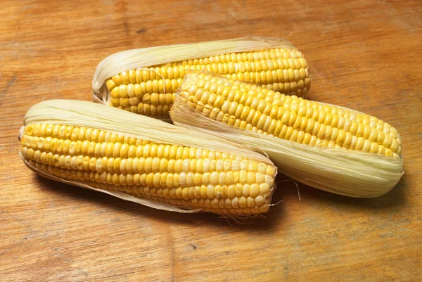 Ahşap üzerine Mısır