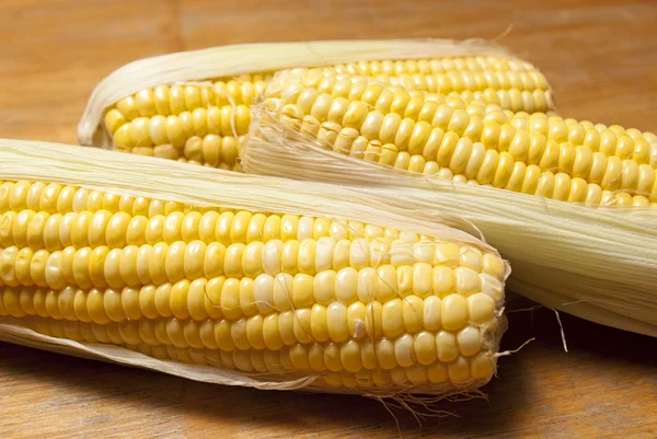 Ahşap üzerine Mısır