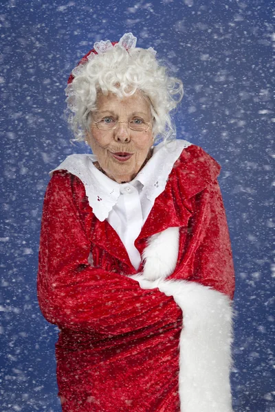 Mevrouw claus permanent in een sneeuwstorm — Stockfoto