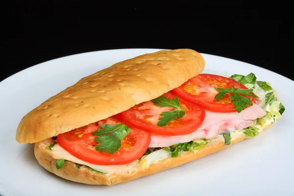 Delicious sandwich with tomatoes and chicken — Stock Photo, Image