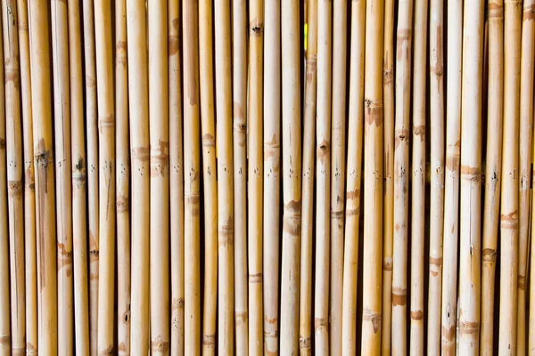 Бамбуковый фон в вертикальной линии — стоковое фото