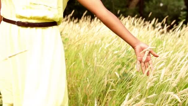 走在草地上的女人 — 图库视频影像