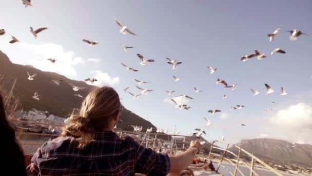 Couple watching the seagulls — Stock Video