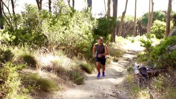 Jonge man loopt in het bos — Stockvideo