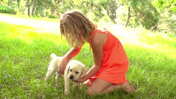 Flicka klappa lilla hund — Stockvideo