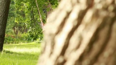 küçük kız salıncakta büyük eğleniyor