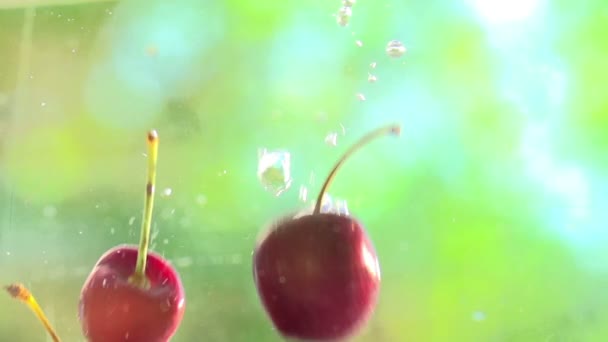 Cerejas caindo na água — Vídeo de Stock