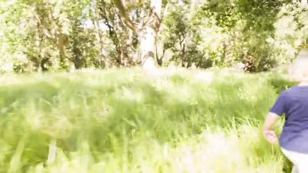 Αγόρι που τρέχει στο πάρκο — Αρχείο Βίντεο