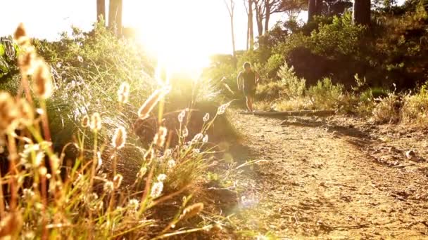 Young man running in the woods — Stock Video