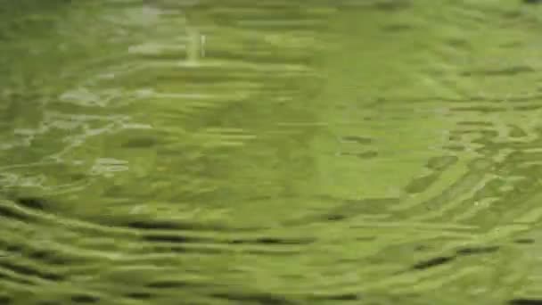 Gotas de agua en cámara lenta — Vídeo de stock