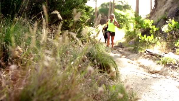 Pareja trotando en el camino del bosque — Vídeos de Stock