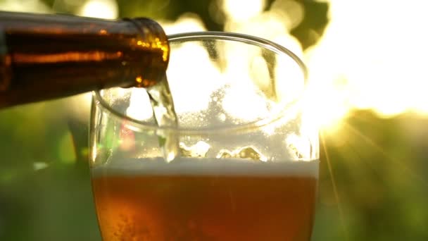 Пиво наливают в стекло — стоковое видео