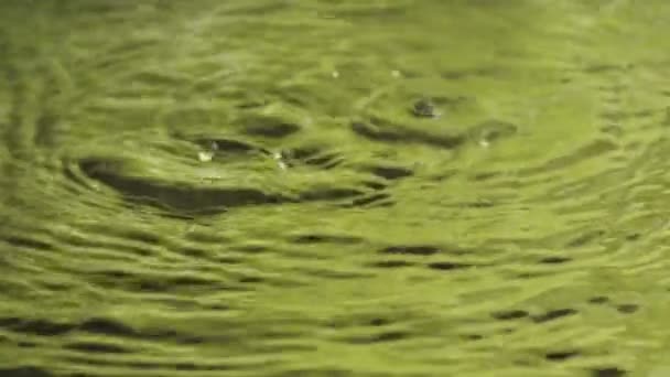 Gotas de agua en cámara lenta — Vídeo de stock