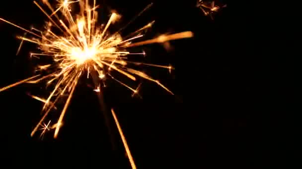 Firework sparkler burning — Stock Video