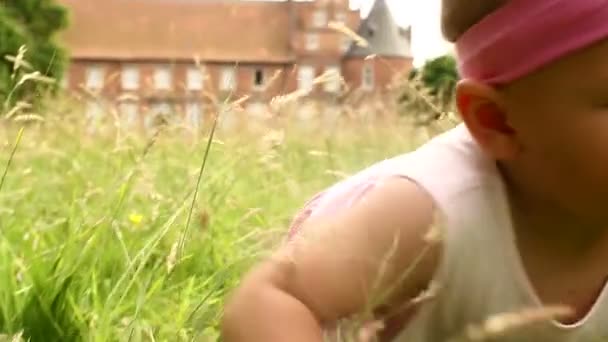 Bebé niña arrastrándose a través de la hierba — Vídeos de Stock