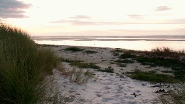 Plaj gün batımı — Stok video
