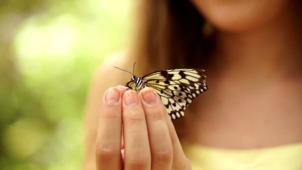 Chica y mariposa — Vídeos de Stock