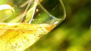 Bira bardağa dökülüyor.