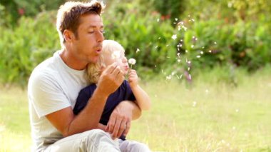 Baba ve oğul dandelions üfleme
