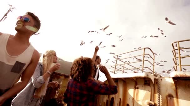 Amigos mirando las gaviotas — Vídeos de Stock