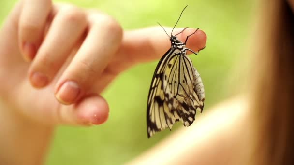 Vlinder aan meisjes vinger — Stockvideo