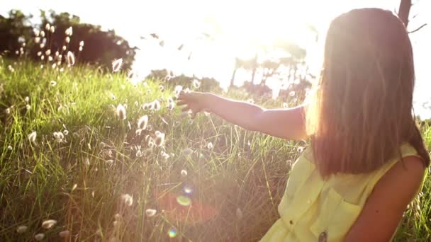 Mädchen berührt Gras mit der Hand — Stockvideo