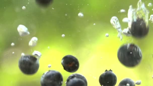 Blaubeeren fallen ins Wasser — Stockvideo