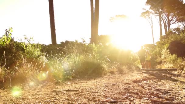 Pareja joven corriendo juntos al amanecer — Vídeo de stock