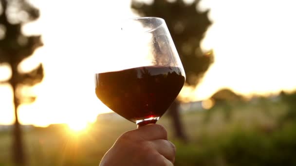 Красное вино, закрученное в бокал — стоковое видео