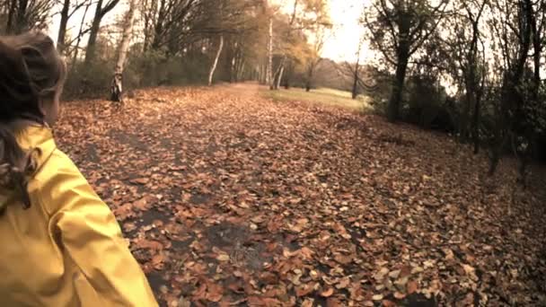 Bambina nel parco autunnale — Video Stock