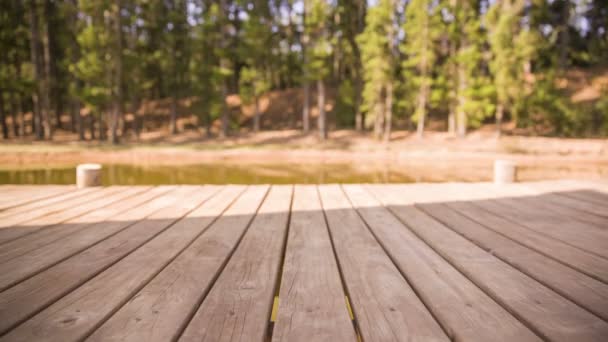 Girl walking barefoot — Stock Video